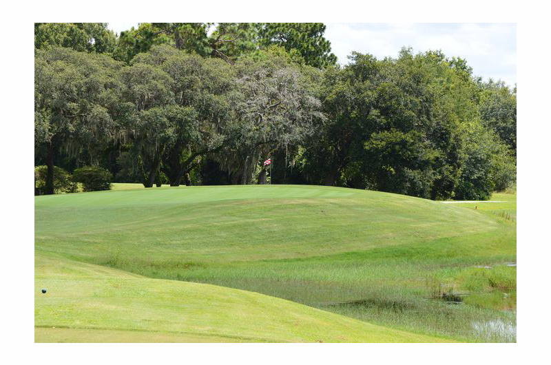 golf course green